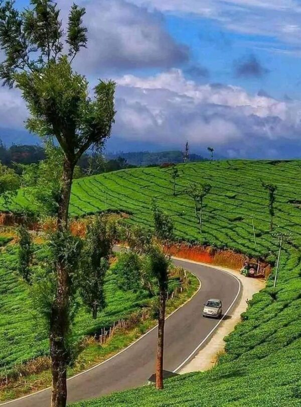 Munnar6